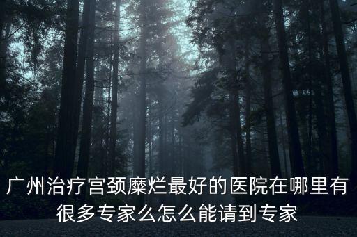 廣州治療宮頸糜爛最好的醫院在哪里有很多專家么怎么能請到專家