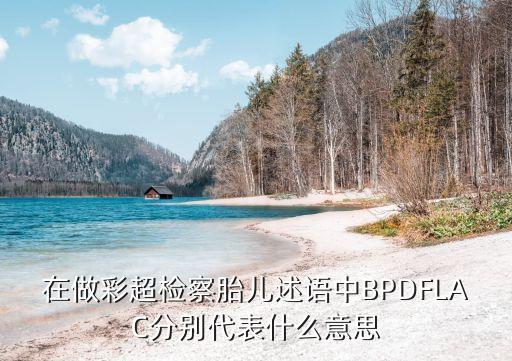 在做彩超檢察胎兒述語(yǔ)中BPDFLAC分別代表什么意思