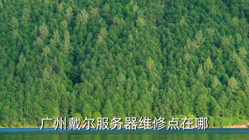 廣州戴爾服務器維修點在哪
