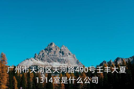 廣州市天河區天河路490號壬豐大夏1314室是什么公司