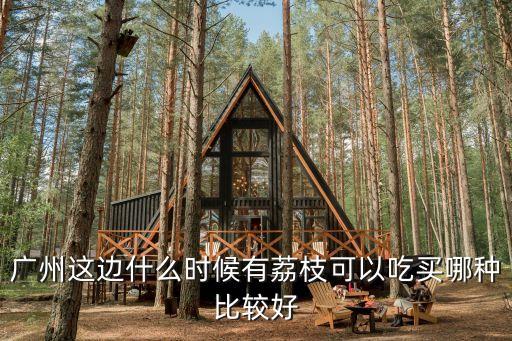 廣州這邊什么時候有荔枝可以吃買哪種比較好