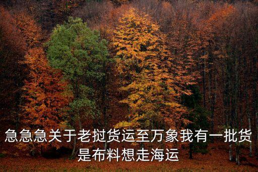 急急急關于老撾貨運至萬象我有一批貨是布料想走海運