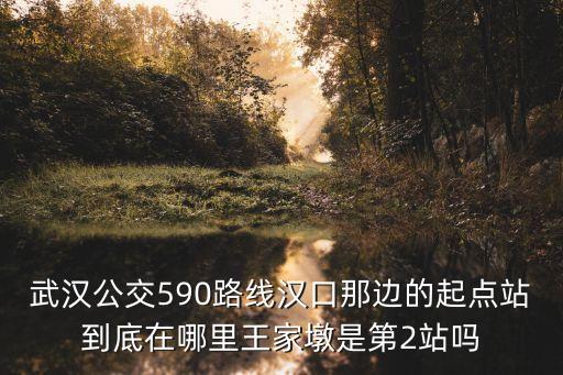 廣州保利中海金地國Z，全國較為知名的房地產開發商有哪幾個啊