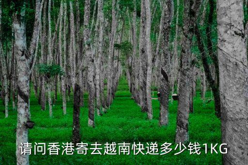 越南生鮮空運廣州1公斤多少錢，請問香港寄去越南快遞多少錢1KG