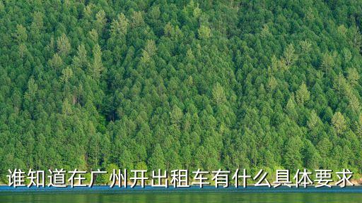 誰知道在廣州開出租車有什么具體要求