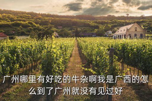 廣州牛雜攤圖片大全，廣州哪里有好吃的牛雜啊我是廣西的怎么到了廣州就沒有見過好