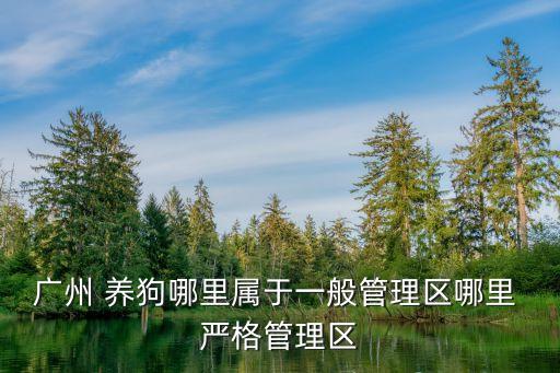 廣州重點管理區(qū)域，廣州哪些區(qū)治安好哪些區(qū)治安差