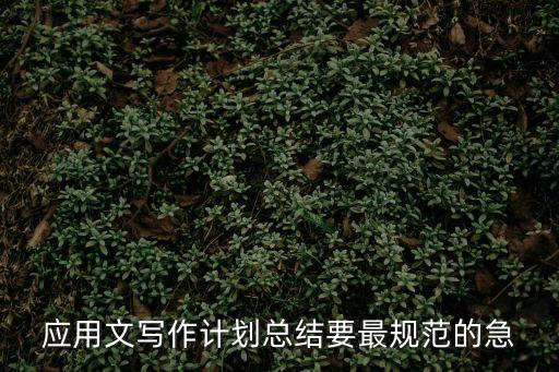 應用文寫作計劃總結要最規范的急