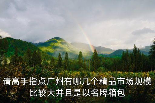 請高手指點廣州有哪幾個精品市場規(guī)模比較大并且是以名牌箱包