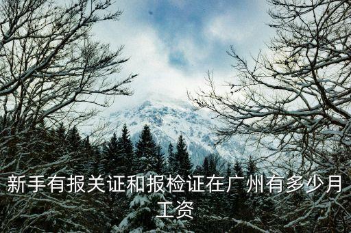 新手有報(bào)關(guān)證和報(bào)檢證在廣州有多少月工資