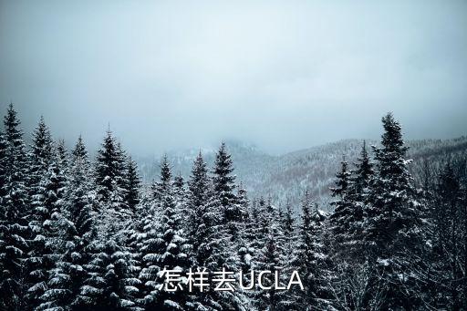 怎樣去UCLA
