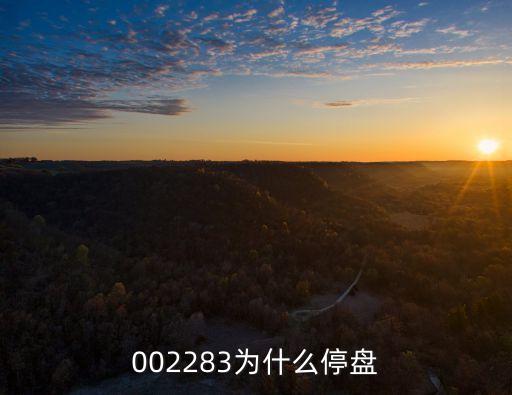 002283為什么停盤