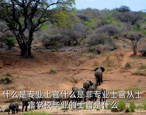廣州軍校外軍培訓，在廣州哪里有封閉式的軍事夏令營