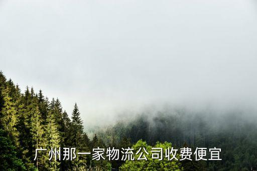 廣州物流哪個劃算點，廣州哪家物流公司比較好要又好又便宜的