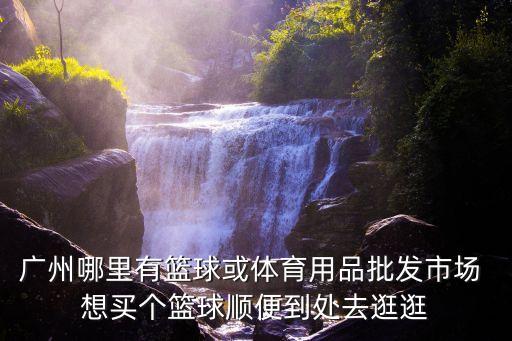 廣州哪里有籃球或體育用品批發市場 想買個籃球順便到處去逛逛