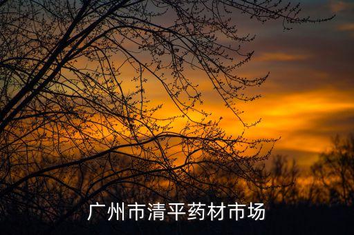 廣州清平樂(lè)藥材市場(chǎng)，清平藥材專(zhuān)業(yè)市場(chǎng)怎么樣