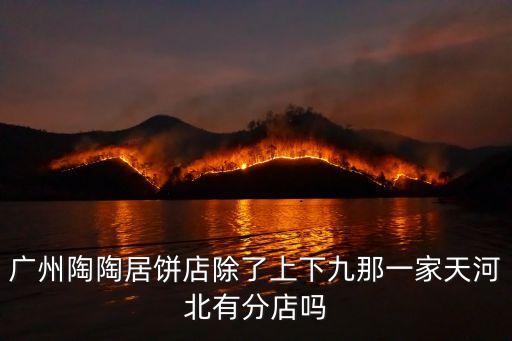 廣州陶陶居餅店除了上下九那一家天河北有分店嗎