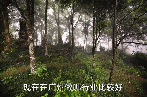 現在在廣州做哪行業比較好