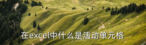 活動單元格，活動單元格指的是