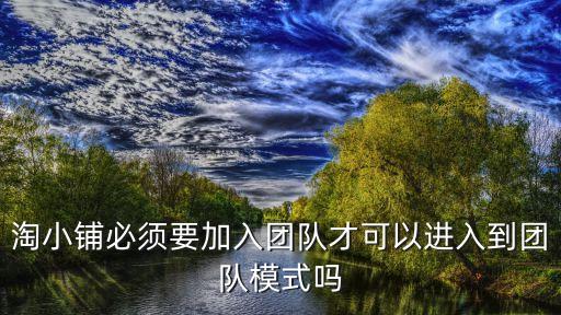 廣州合規的于明遠淘小鋪團隊，淘小鋪必須要加入團隊才可以進入到團隊模式嗎