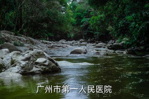 廣州市第一人民醫院
