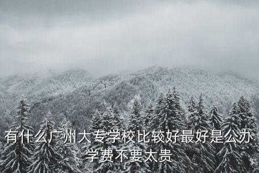 廣州公辦專科學校哪個好，廣州有哪些比較好的專科