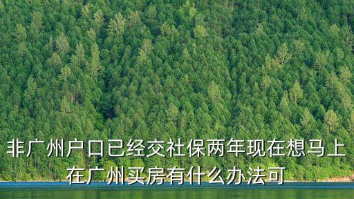 非廣州戶口已經交社保兩年現在想馬上在廣州買房有什么辦法可