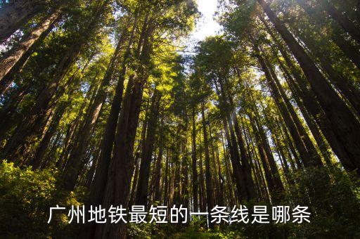 廣州最少地鐵站在哪里，廣州地鐵最短的一條線是哪條