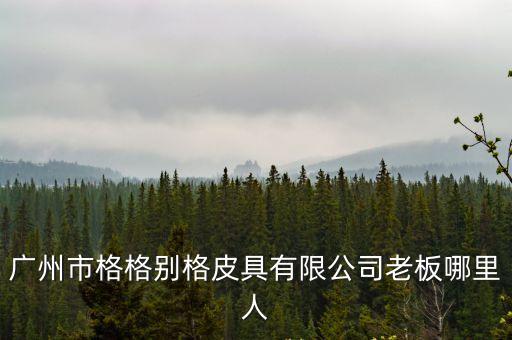 廣州市林武濠，廣州市格格別格皮具有限公司老板哪里人