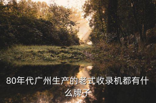 廣州南方無線錄音機，廣州市內的電子城有哪些主要做手機配件的藍牙這些除了南方大