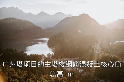 廣州西塔網絡柱核心筒，高層建筑核心筒里面有柱子嗎
