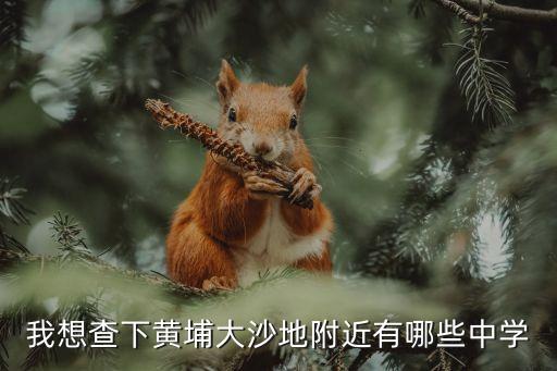 廣州黃埔區怡瑞小學對口初中，黃埔區有哪些好的小學中黃外國語小學怎樣