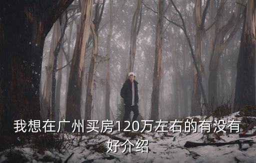 我想在廣州買(mǎi)房120萬(wàn)左右的有沒(méi)有好介紹
