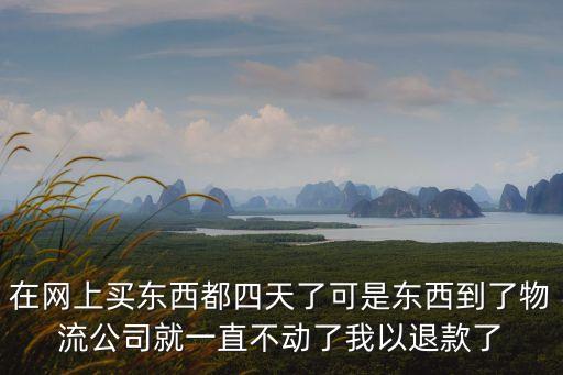 退快遞現在廣州退不了怎么辦，異地買了東西 商家不發貨也不退款 怎么辦