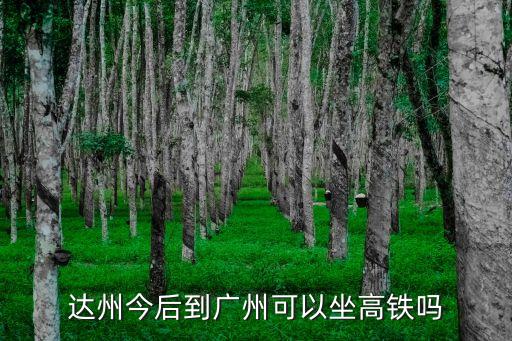 達州車站有到廣州的高鐵嗎，達州今后到廣州可以坐高鐵嗎