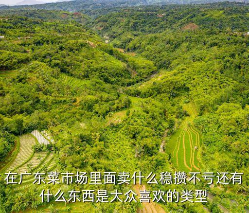 在廣東菜市場(chǎng)里面賣什么穩(wěn)攢不虧還有什么東西是大眾喜歡的類型