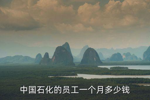 中石化廣州煉化企業工資待遇，中國石化的員工一個月多少錢