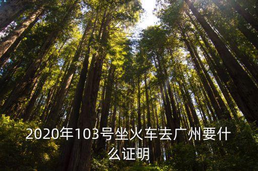 2020年103號坐火車去廣州要什么證明