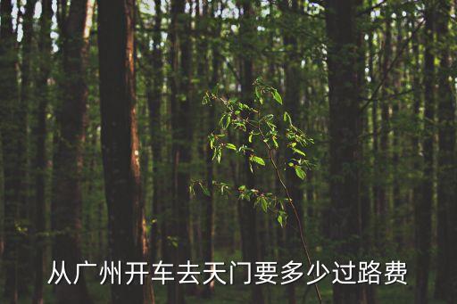 廣州自駕游貴州高速費用，開車從奉節到廣州有多少公里要多少過路費