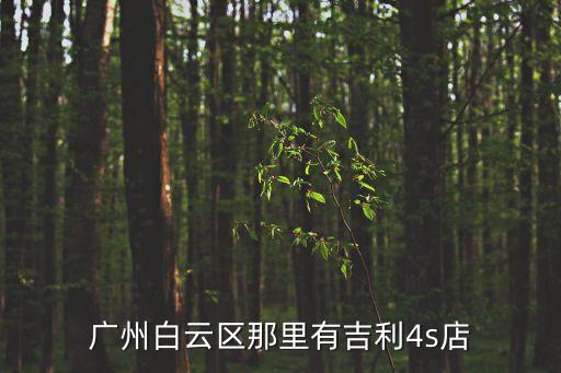 廣州白云區(qū)那里有吉利4s店