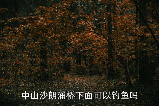 中山沙朗涌橋下面可以釣魚嗎