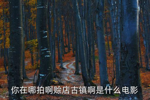 你在哪拍啊賒店古鎮啊是什么電影