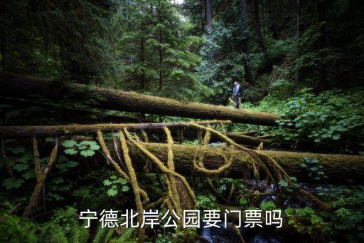 北岸公園，柯橋瓜渚湖北岸公園音樂噴泉是什么時候