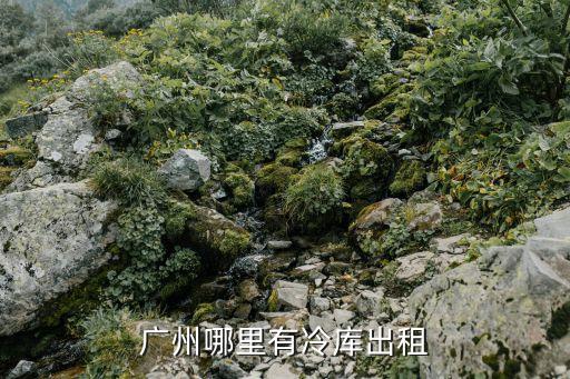 廣州意庫租售，廣州哪里有冷庫出租