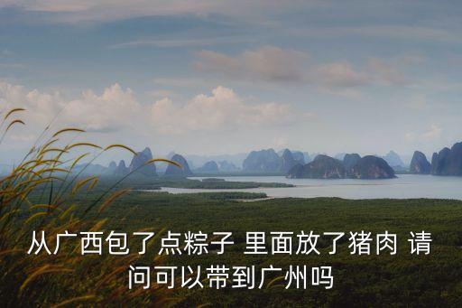 從廣西包了點粽子 里面放了豬肉 請問可以帶到廣州嗎
