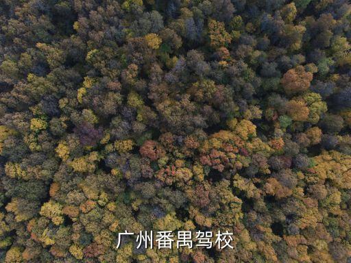 廣州番禺區派駕校，廣州番禺區的駕校有什么