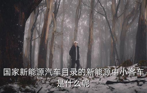 國家新能源汽車目錄的新能源中小客車是什么呢
