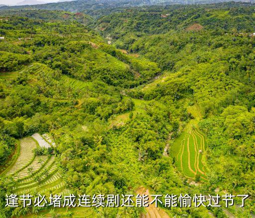 廣州返程高峰最新通告，最早一班南海快3幾點到達廣州南站