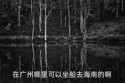 在廣州哪里可以坐船去海南的啊