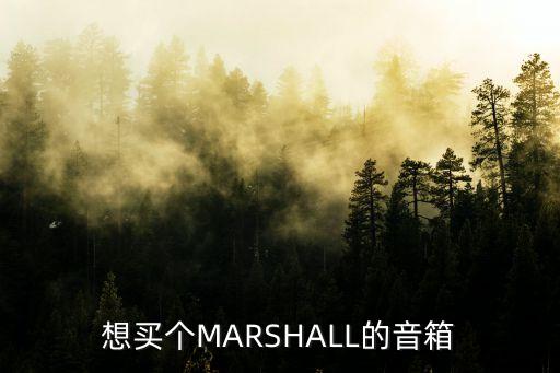 廣州bose和marshall音箱價格，請問正品Marshall吉他音箱多少錢